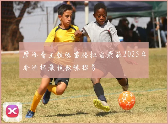 摩洛哥主教练雷格拉吉荣获2025年非洲杯最佳教练称号